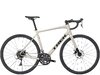 Trek Domane AL 2 54 Gloss Supernova